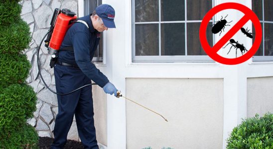 Mudurnu Akrep İlaçlama böcek ilaçlama ve haşere kontrolü — ilaclama-tr.com